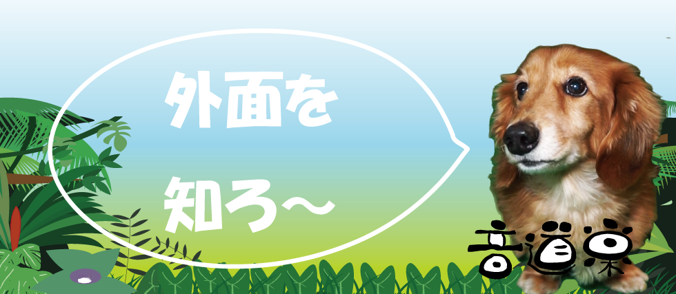 ♯音道楽♯おとどうらく♯オトドウラク♯ビジョン♯ゴール♯目標♯ミッション♯使命♯幸せ♯パーソナルブランディング♯自分づくり♯アイデンティティ♯自己同一性♯歌♯うた♯動画♯SONG♯MOVIE♯♯PRODUCT♯PRODUC♯愛♯生活♯LOVE♯LIFE♯ﾗﾌﾞ♯ﾗｲﾌ♯幸せﾍの道♯音道楽♯おとどうらく♯オトドウラク♯ビジョン♯ゴール♯目標♯ミッション♯使命♯幸せ♯パーソナルブランディング♯自分づくり♯アイデンティティ♯自己同一性♯歌♯うた♯動画♯SONG♯MOVIE♯music♯PRODUCT♯PRODUC♯愛♯生活♯LOVE♯LIFE♯ﾗﾌﾞ♯ﾗｲﾌ♯幸せﾍの道♯アート♯atr♯vission♯mission♯motto♯モットー♯悟り♯空♯道♯経済♯タイムマシン♯本♯bok♯コンマリ♯モットー♯motto♯指針♯戦略♯戦術♯ストラテジー♯タクティクス♯先生♯感謝♯ヒーロー♯hero#♯HERO♯外面を知る